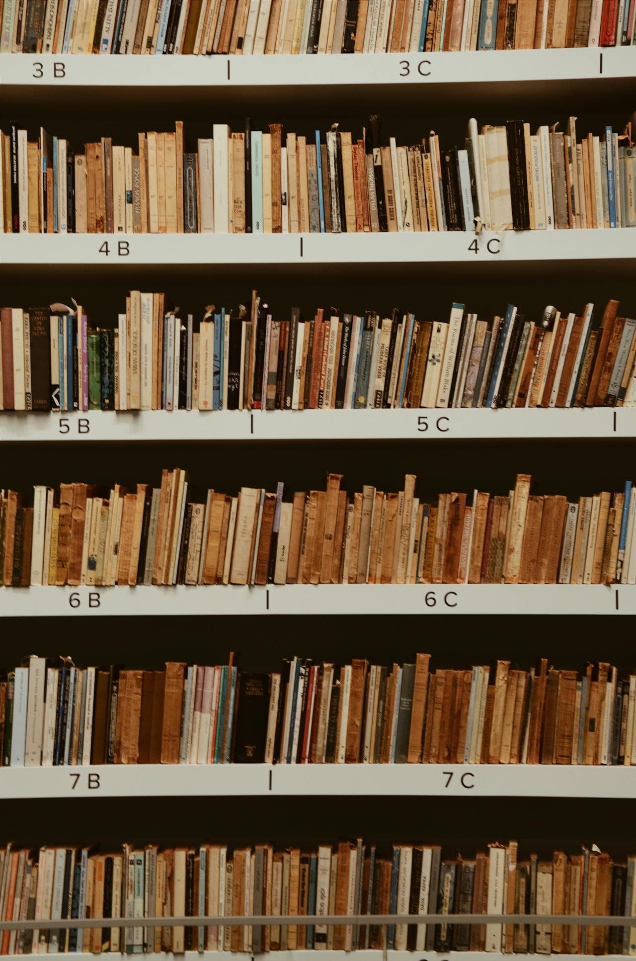 Rows of books on library shelves